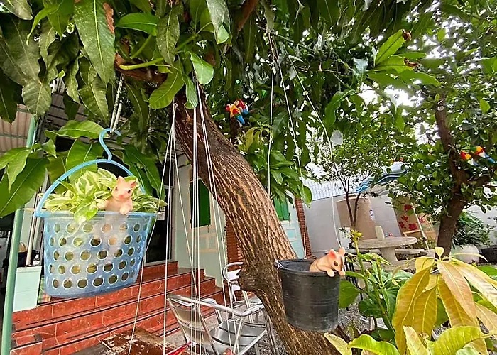 Garden *